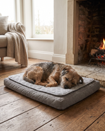 Snuffo winter self warming mat by the fireside