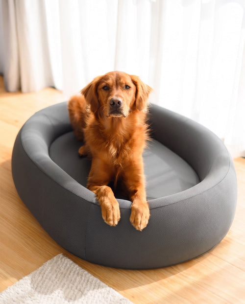 Snuffo Orthopaedic Bed