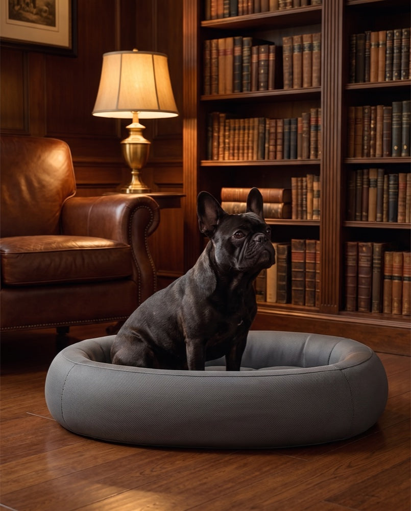 A dog settled on a Snuffo orthopaedic bed at home