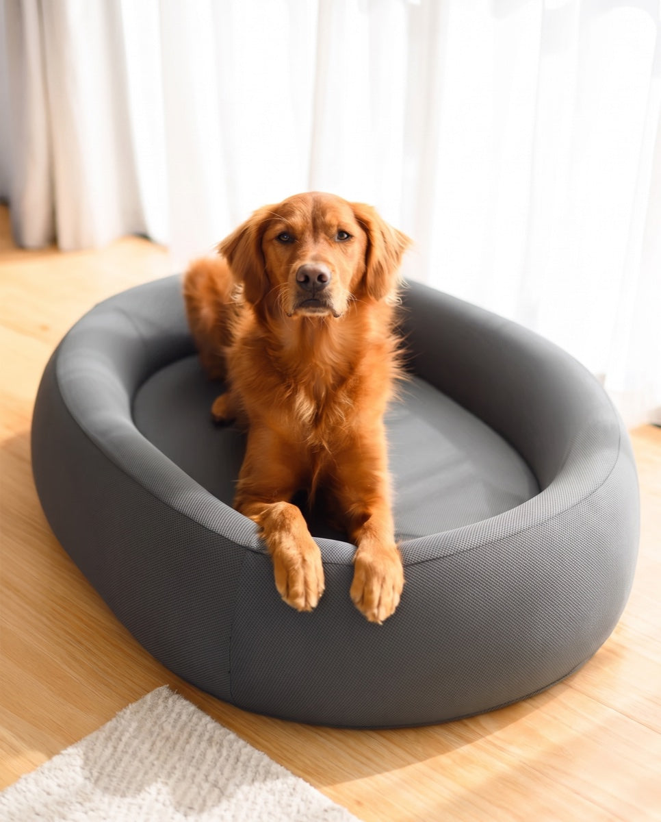 A dog resting on a Snuffo orthopaedic bed